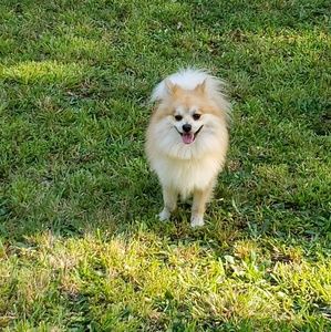 Meet your Posher, Omar